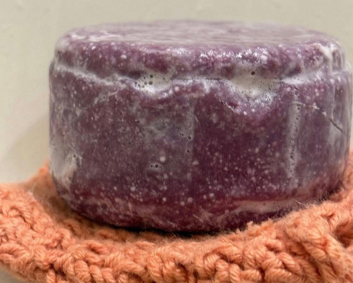 Blueberry Shampoo & Conditioner